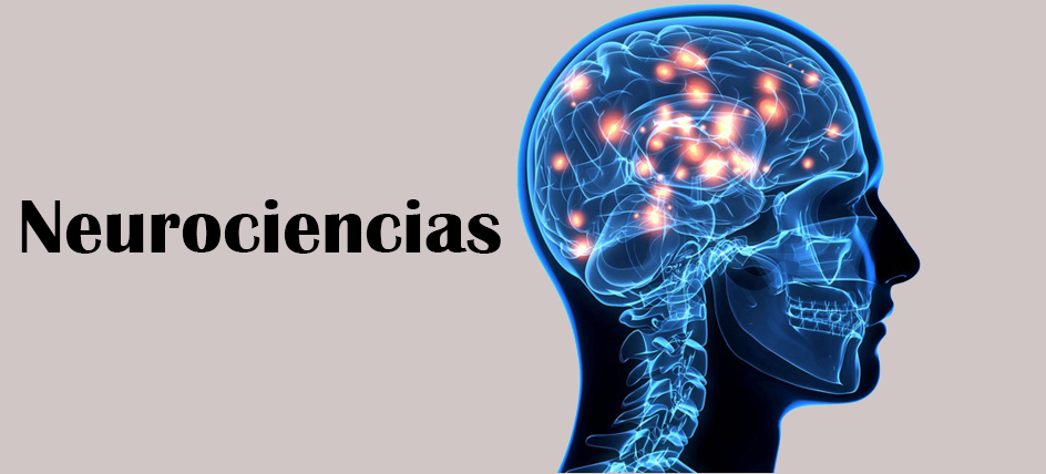 Slide # 16